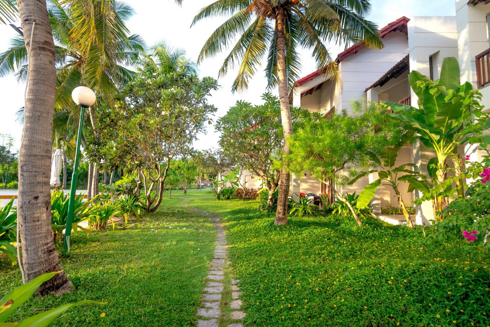Lush landscaped resort garden with palm trees and a stone path in Dubai